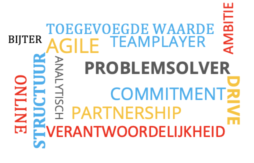 Toegevoegde waarde. Teamplayer. Agile. Problemsolver. Commitment. Partnership. Verantwoordelijkheid. Structuur. Analytisch. Ambitie. Drive. Online. Bijter.